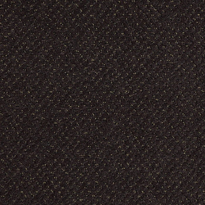 Legend Falls Nylon Diamond Head 66501 Carpet Textured 3