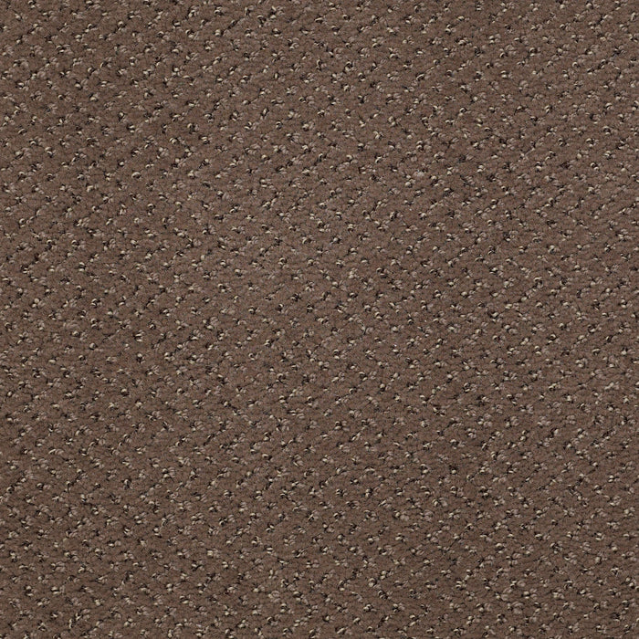 Legend Falls Nylon Riverbed 66704 Carpet Textured 3