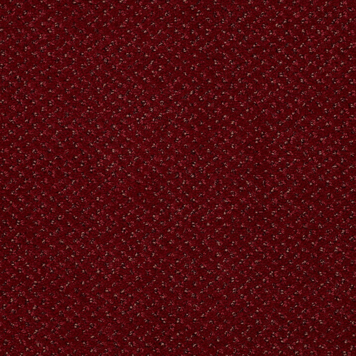 Legend Falls Nylon Delray 66800 Carpet Textured 3