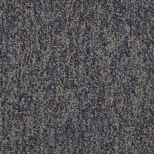 No Limits 26 Nylon Eternity 69400 Carpet Textured 3