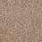 No Limits 26 Nylon Potential 69702 Carpet Textured 3