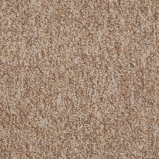 No Limits 26 Nylon Potential 69702 Carpet Textured 3
