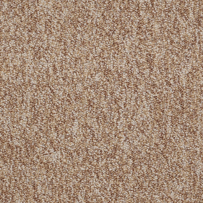 No Limits 26 Nylon Potential 69702 Carpet Textured 3