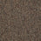 No Limits 26 Nylon Border 69703 Carpet Textured 3