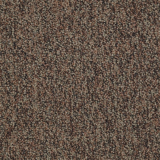 No Limits 26 Nylon Border 69703 Carpet Textured 3