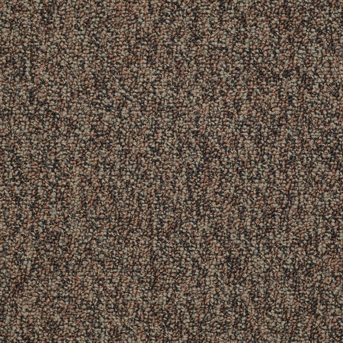 No Limits 26 Nylon Border 69703 Carpet Textured 3
