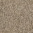 No Limits 22 Nylon Boundaries 69200 Carpet Textured 3