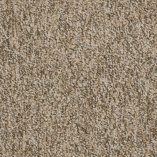 No Limits 22 Nylon Boundaries 69200 Carpet Textured 3
