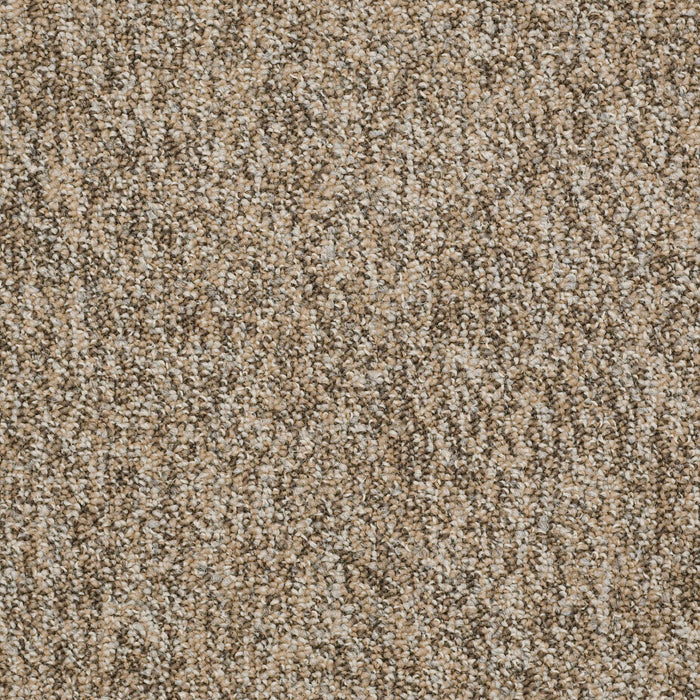 No Limits 22 Nylon Boundaries 69200 Carpet Textured 3