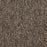No Limits 22 Nylon Border 69703 Carpet Textured 3