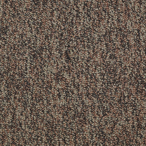 No Limits 22 Nylon Border 69703 Carpet Textured 3