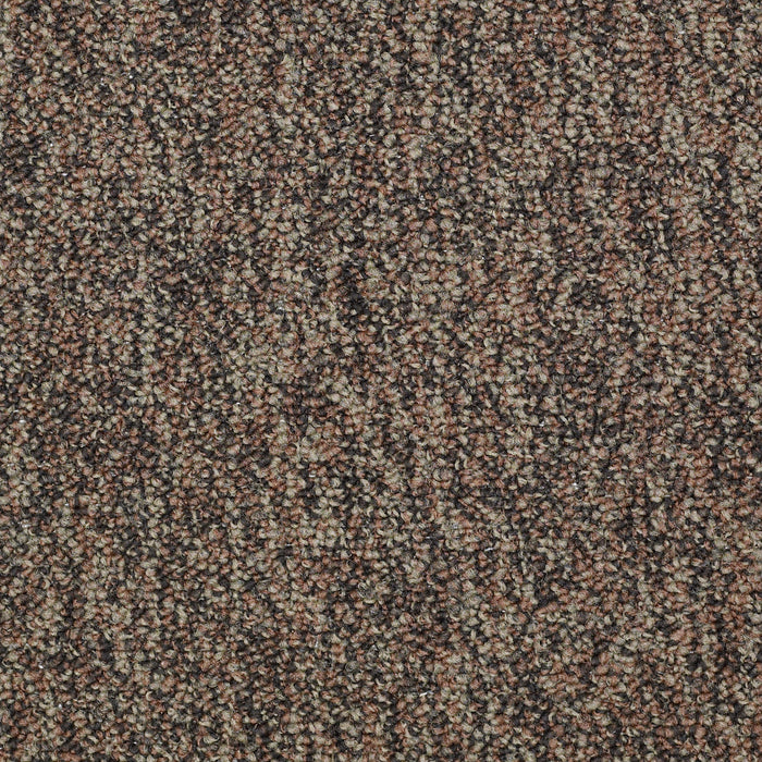 No Limits 22 Nylon Border 69703 Carpet Textured 3
