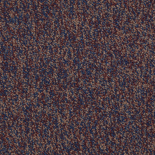 No Limits 22 Nylon Endless 69800 Carpet Textured 3
