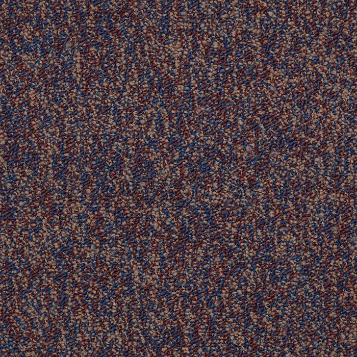 No Limits 22 Nylon Endless 69800 Carpet Textured 3