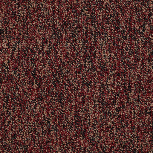 No Limits 22 Nylon Abundance 69801 Carpet Textured 3