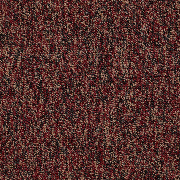 No Limits 22 Nylon Abundance 69801 Carpet Textured 3