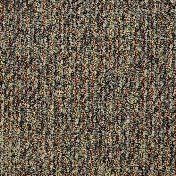 Speak Out Nylon Disclose 45301 Carpet Textured 3