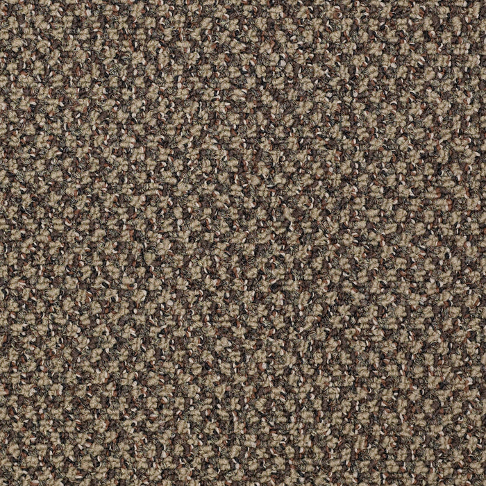 New Basics Nylon Hot Order 93701 Carpet Textured 3