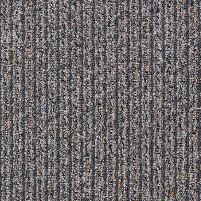 New Statement Nylon Addressed 94502 Carpet Textured 3