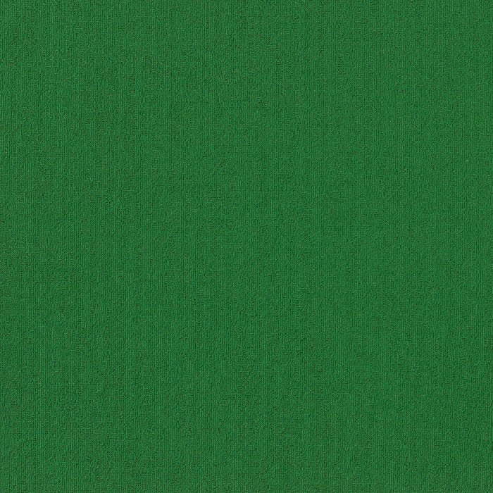 Color Accents BL Nylon Dark Green 62375 Carpet Textured 2