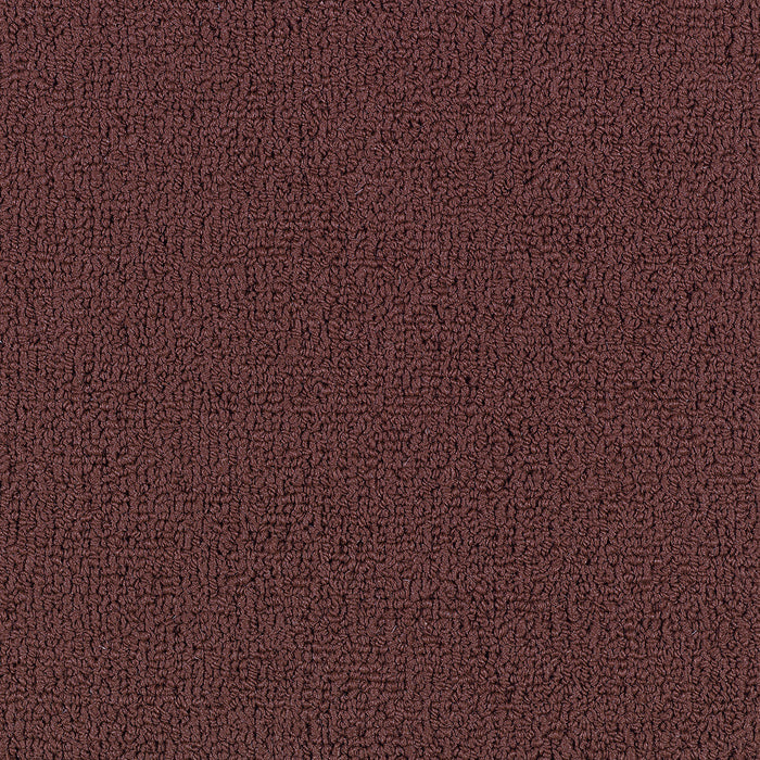 Color Accents BL Nylon Crimson 62802 Carpet Textured 2