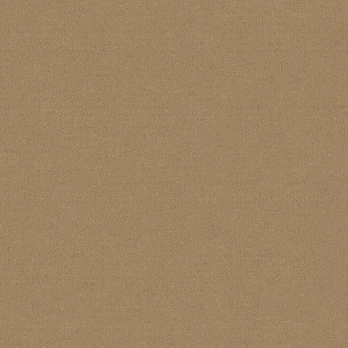 Emphatic Ii 30 Blondwood Nylon Carpet - Textured
