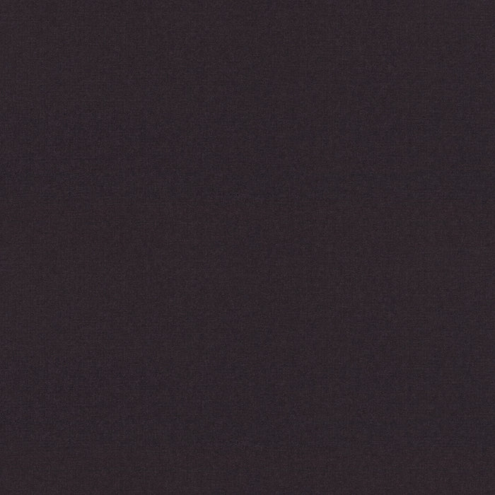 Emphatic Ii 30 Amethyst Nylon Carpet - Textured