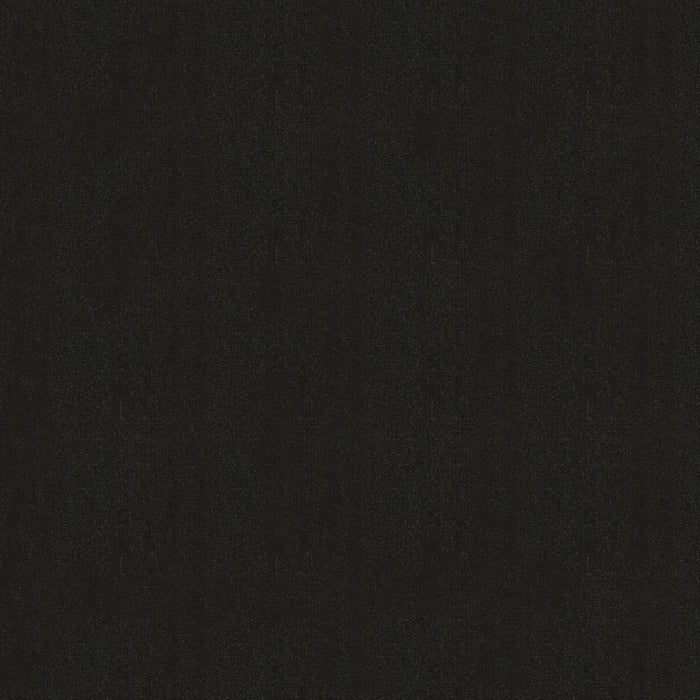 Emphatic Ii 30 Nightlife Nylon Carpet - Textured