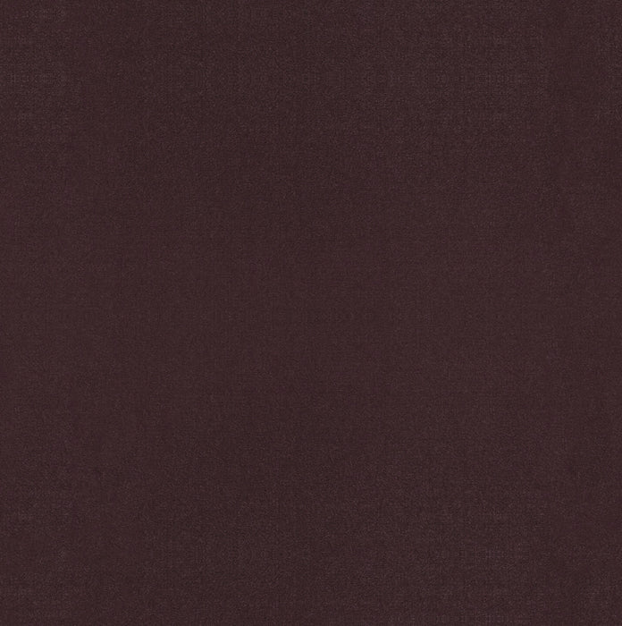 Emphatic Ii 30 Perfect Plum Nylon Carpet - Textured