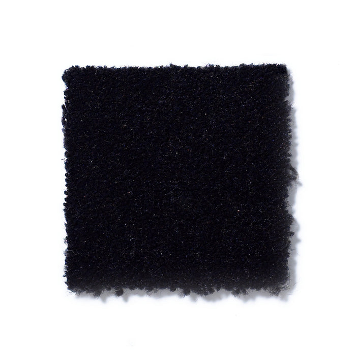 Emphatic Ii 36 Locomotive Nylon Carpet - Textured