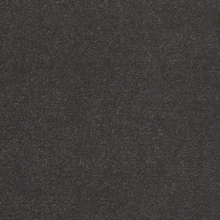 Emphatic Ii 36 Weather Vane Nylon Carpet - Textured