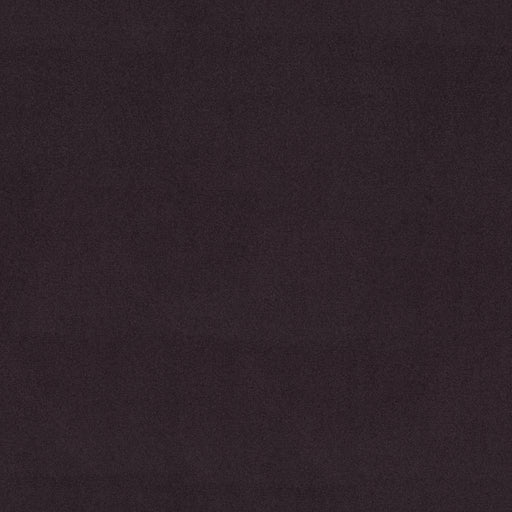 Emphatic Ii 36 Nylon Amethyst 56940 Carpet Textured 3