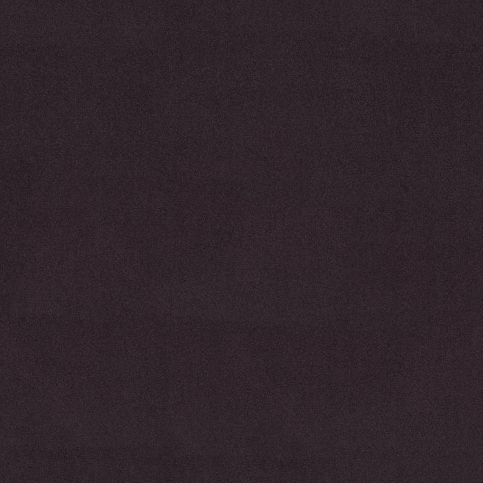Emphatic Ii 36 Nylon Amethyst 56940 Carpet Textured 3