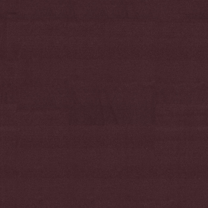 Emphatic Ii 36 Nylon Perfect Plum 56995 Carpet Textured 3