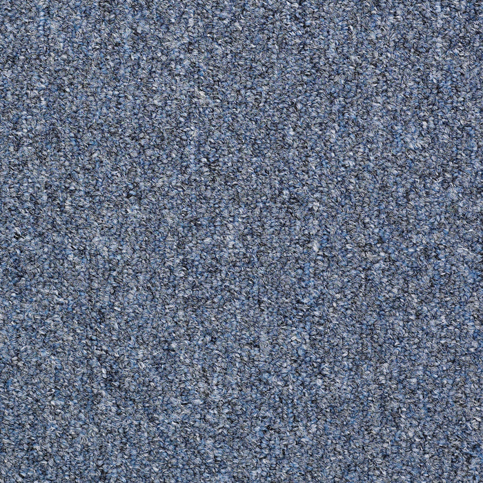 Capital III BL Nylon Representative 80471 Carpet Textured 3