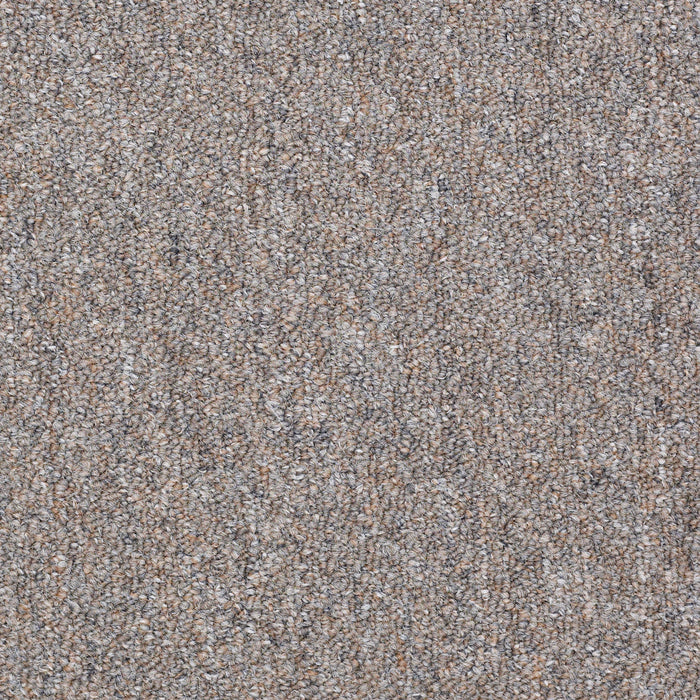 Capital III BL Nylon Electoral Vote 80570 Carpet Textured 3