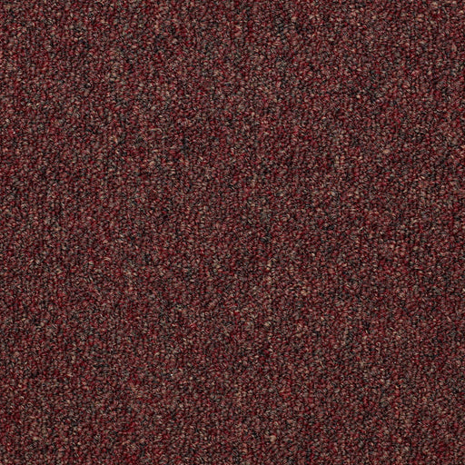 Capital III BL Nylon Court House 80700 Carpet Textured 3