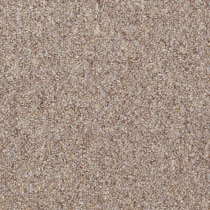 Capital III BL Nylon Justice 80770 Carpet Textured 3