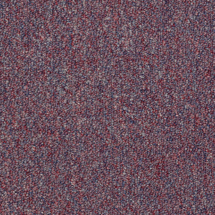 Capital III BL Nylon Stars And Stripes 80871 Carpet Textured 3