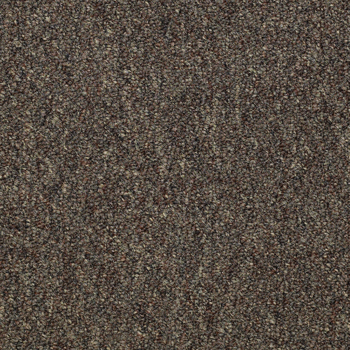 Capital III 18 SC Nylon Eminence 80701 Carpet Textured 3