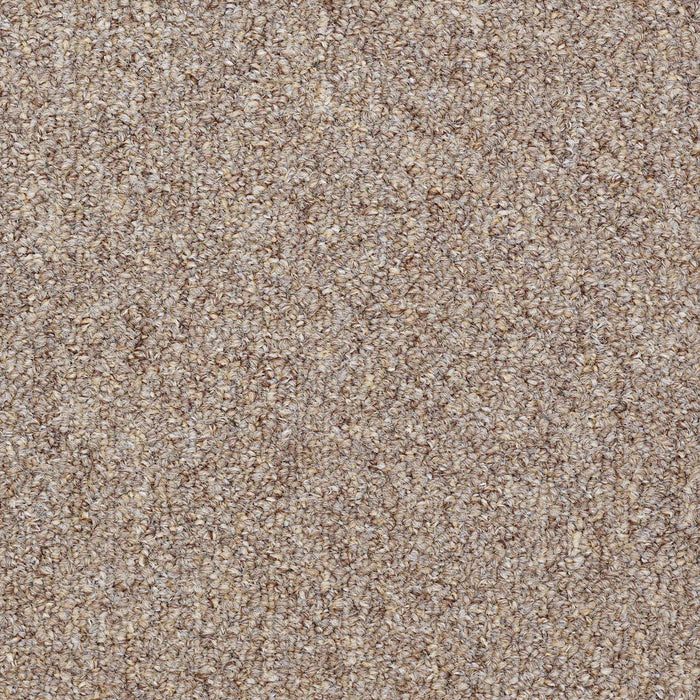 Capital III 18 SC Nylon Justice 80770 Carpet Textured 3