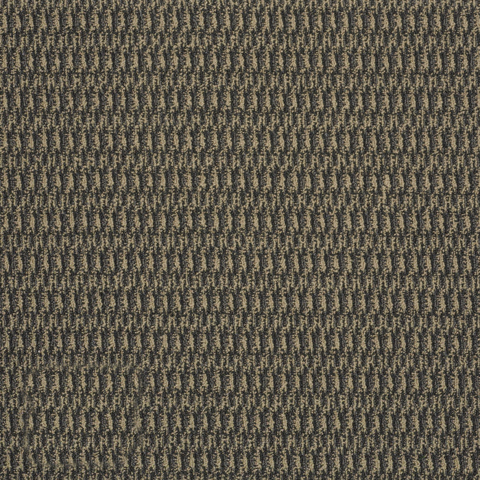 In Harmony Nylon Balanced 78703 Carpet Textured 3