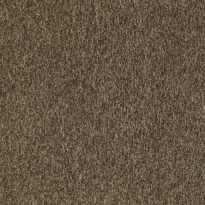 New Trade Nylon Exuberance 95705 Carpet Textured 3