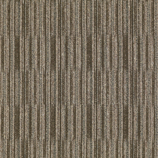 Cutaway Nylon Example 81707 Carpet Textured 3