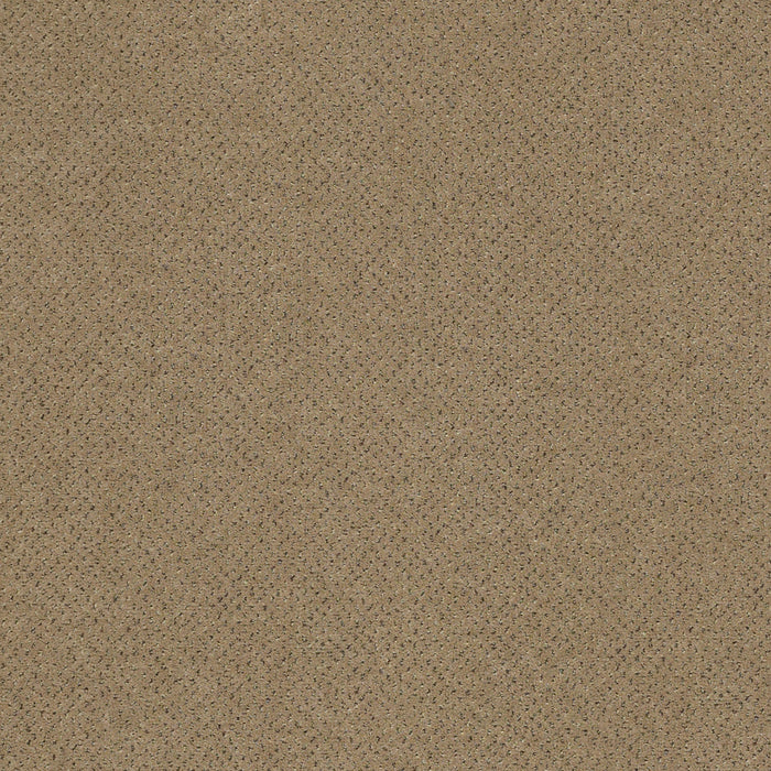 Future Generations Nylon Gen Y 44103 Carpet Textured 3
