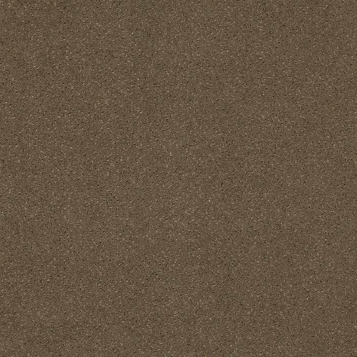 Future Generations Nylon Gen We 44502 Carpet Textured 3