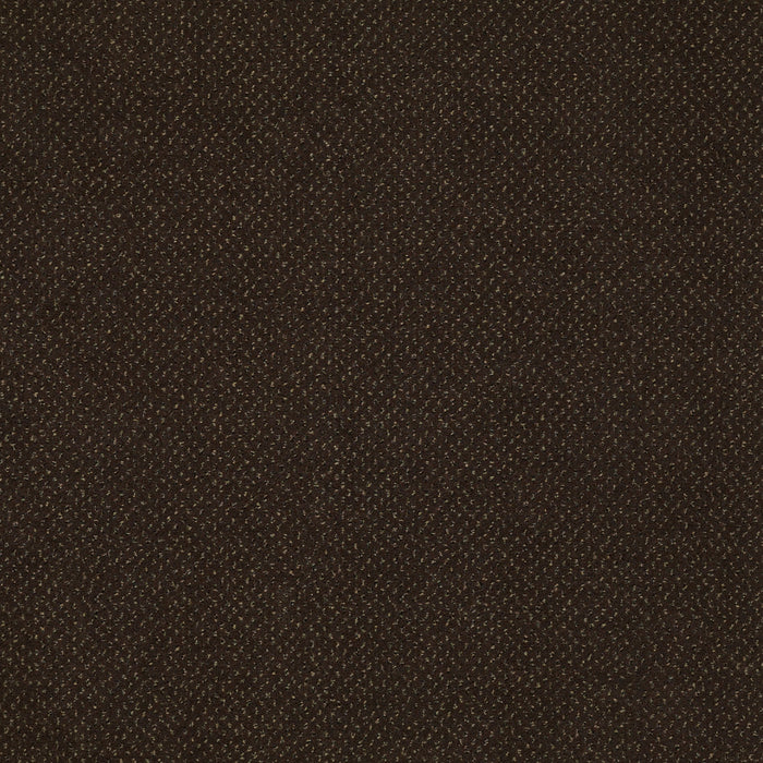 Future Generations Nylon Builders 44704 Carpet Textured 3