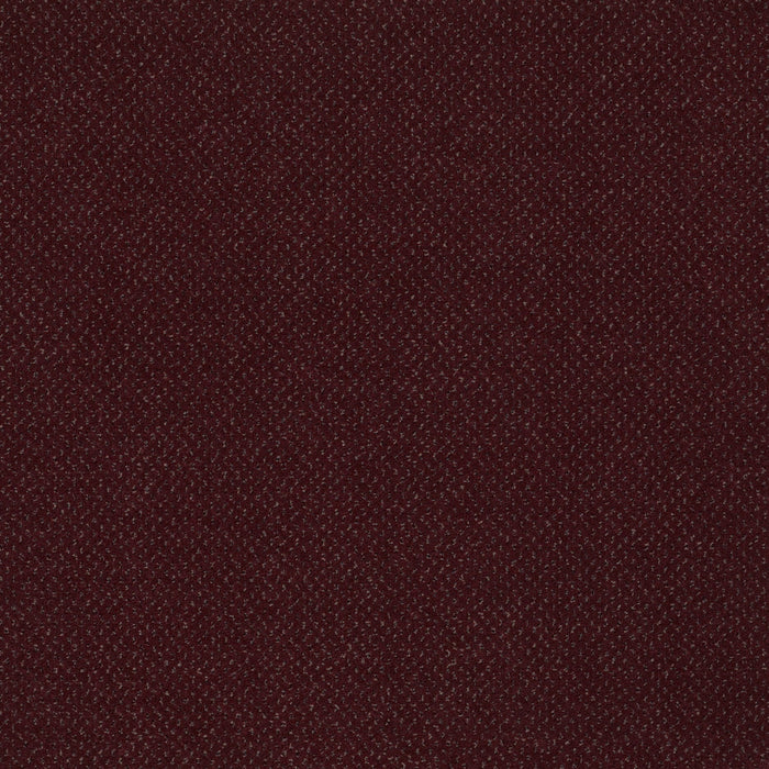 Future Generations Nylon Achievers 44806 Carpet Textured 3