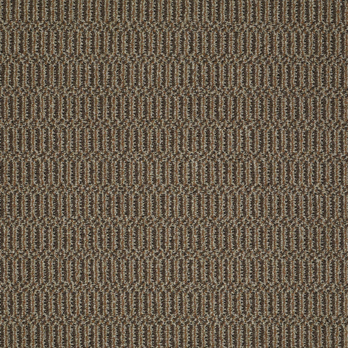 On Site Nylon That's The Idea 02700 Carpet Textured 3
