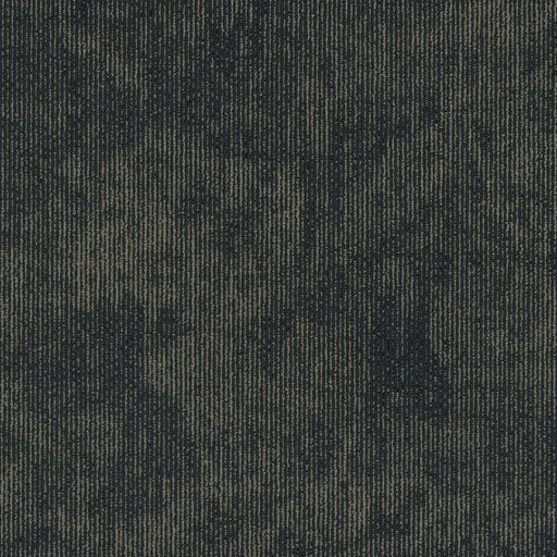 Biotic Nylon Character 00400 Carpet Tile Textured 2
